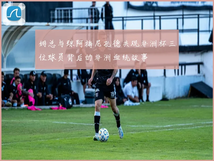 姆总与琼阿梅尼孔德共观非洲杯三位球员背后的非洲血统故事