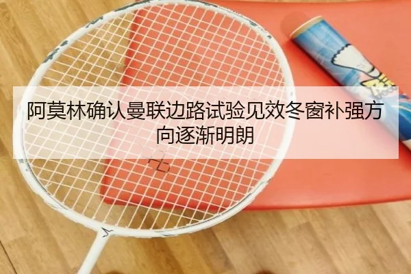 阿莫林确认曼联边路试验见效冬窗补强方向逐渐明朗